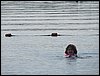 IMG_3958.jpg