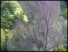 IMG_1964a.jpg