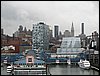IMG_4362.jpg