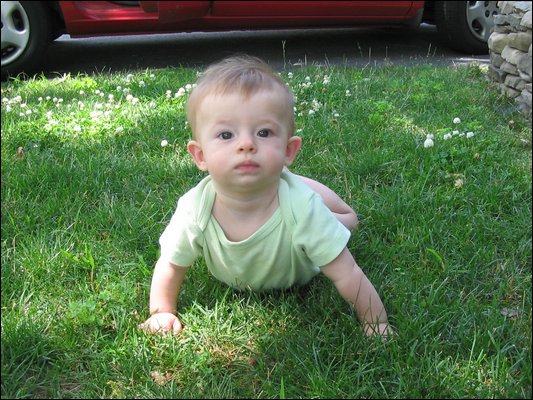 2005_07_02_Attack_Baby.jpg
