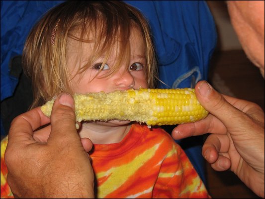 2006_08_30_sweetcorn.JPG