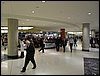 IMG_0899.jpg