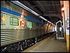 IMG_1159.jpg