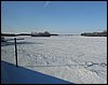IMG_1350.jpg