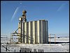 IMG_1353.jpg
