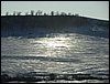IMG_1384.jpg