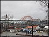 IMG_1729.jpg