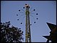 IMG_4937.jpg