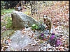 P1030239.jpg