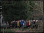 IMG_6020.jpg