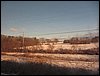 IMG_7633.jpg