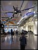 IMG_7679.jpg