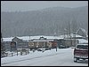 IMG_1287.jpg