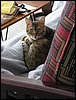 IMG_1301.jpg