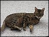 IMG_1363.jpg