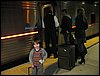 IMG_1384.jpg