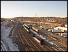 IMG_1438.jpg