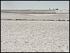 IMG_1462.jpg