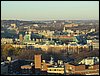 IMG_0204.jpg