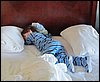 IMG_0207.jpg