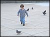 IMG_0241.jpg