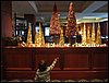 IMG_0336.jpg