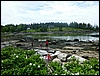 P1010171.jpg