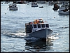 P1010363.jpg