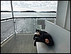 P1010394.jpg