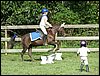 IMG_5155.jpg