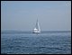 IMG_0110.JPG
