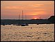IMG_1908.jpg