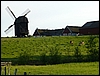 P1000455.jpg