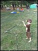 IMG_1246.jpg