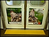 P1060009.jpg