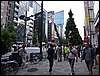 P1060348.jpg