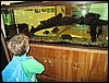 IMG_0995.jpg