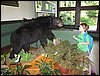 IMG_0998.jpg