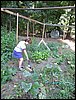 IMG_1078.jpg