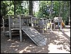 IMG_1113.jpg