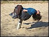 IMG_3334.jpg