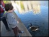 IMG_3339.jpg