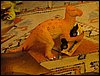 IMG_3378.jpg