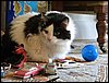 IMG_3554.jpg