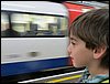 IMG_3561.jpg