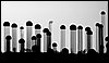 Nanowires-during-growth.jpg