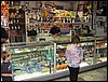 IMG_2181.jpg