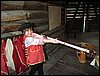 IMG_2239.jpg