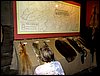 IMG_2250.jpg