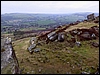 P1040166.jpg